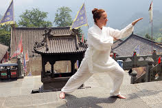 Tai chi chuan