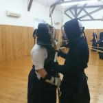 Kendo vs Naginata